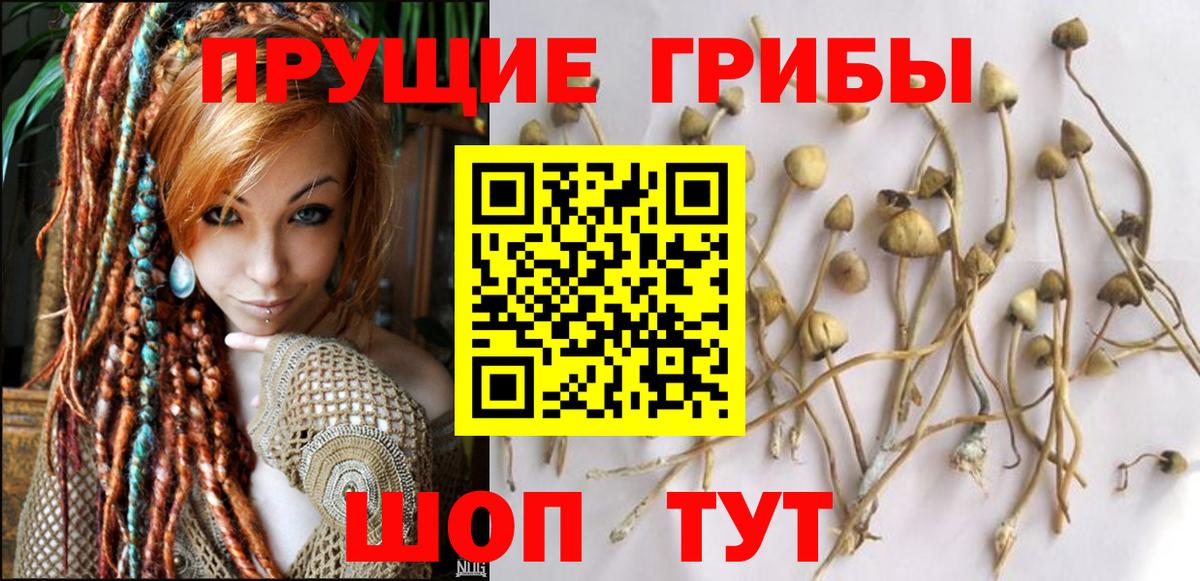 Галлюциногенные грибы прущие грибы Кыштым